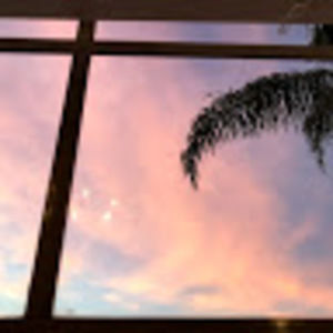 Meet your Posher, Bella